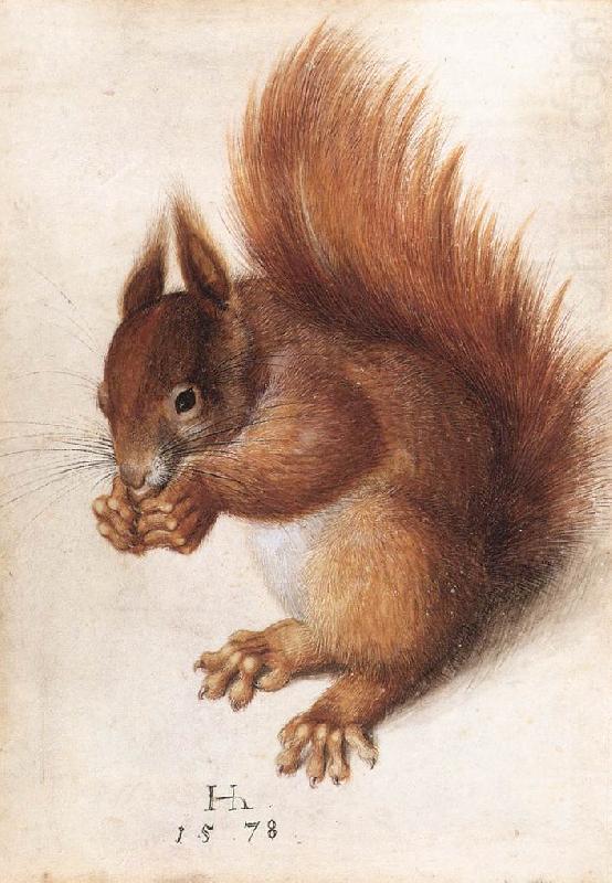 HOFFMANN, Hans Squirrel wf china oil painting image